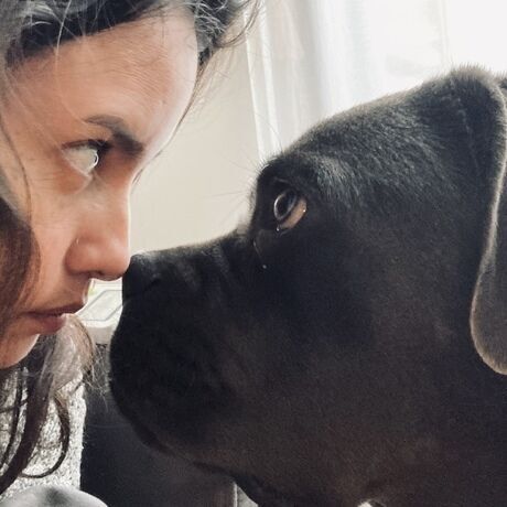 8c23c5c3 e7d8 4c59 8d33 013d5f779ea2