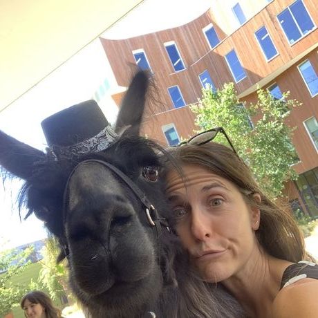 0bc58998 60ad 47e3 8cb9 a161303e9dab