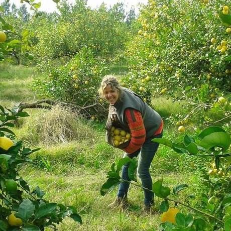 10501887 10152515526208713 5827308127863460711 n