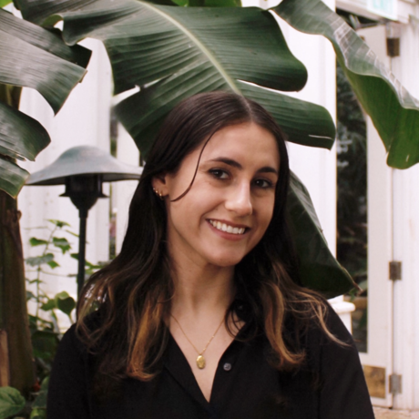 Screenshot 2024 08 28 at 10.45.24 am