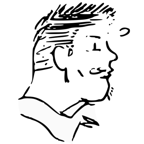 Cartoon me 2x