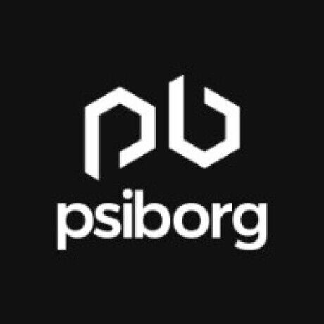 Psiborg technologies pvt ltd 502937