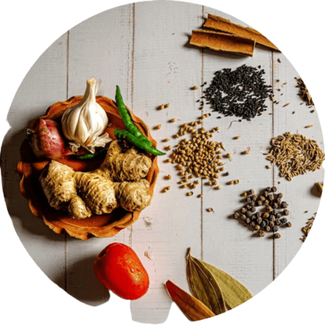 Whatsapp image 2023 02 26 at 13.43.57 removebg preview 1mm