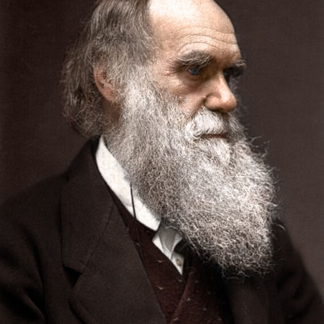 Charles darwin