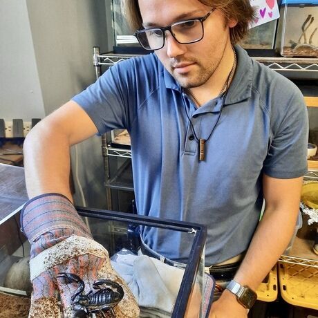 Bailey maier artist scorpion