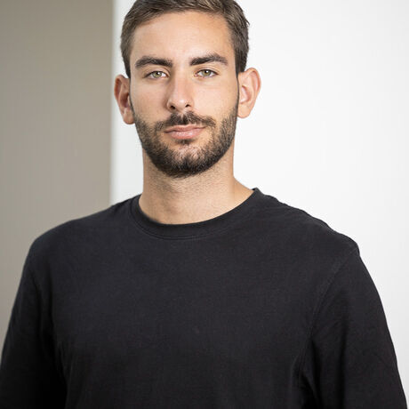 Fototessera debellis