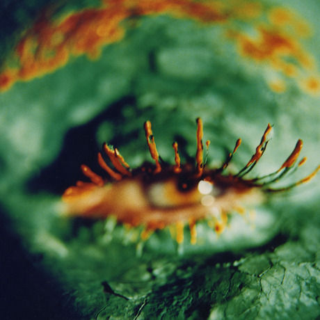 Electribe101 eye green300