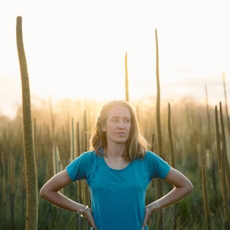 B99cea40 6080 4262 98e4 b6bb8a773642