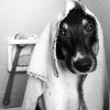 Small img 20150726 wa0053